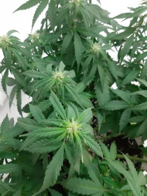 20230916_211016.jpg 20230916_211016.jpg