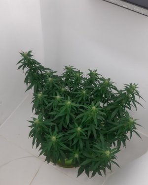 20230916_210755.jpg 20230916_210755.jpg