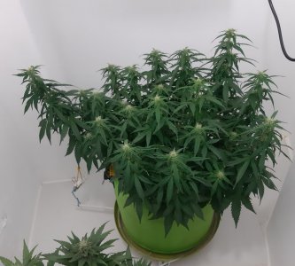 20230916_210717.jpg 20230916_210717.jpg