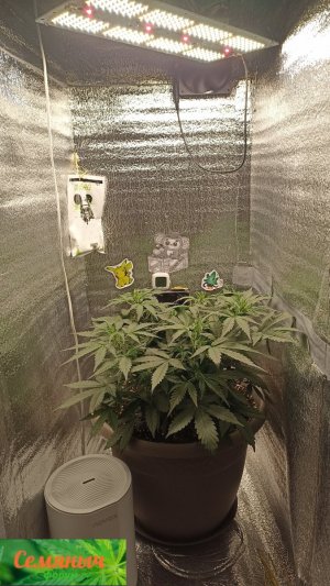 Picsart_23-09-11_20-38-01-366.jpg Picsart_23-09-11_20-38-01-366.jpg