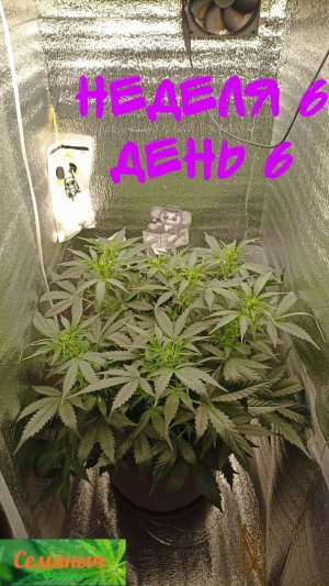 Picsart_23-09-16_07-29-21-365.jpg Picsart_23-09-16_07-29-21-365.jpg