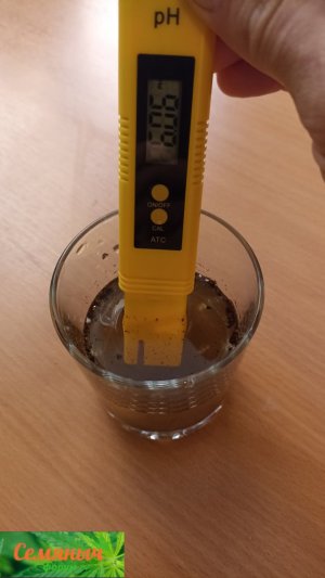 Picsart_23-09-17_09-34-46-493.jpg Picsart_23-09-17_09-34-46-493.jpg