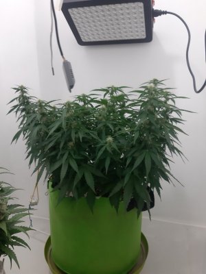 20230919_212741.jpg 20230919_212741.jpg