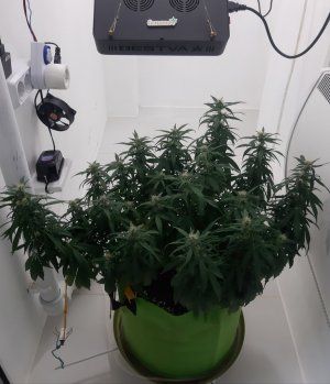 20230919_213209.jpg 20230919_213209.jpg