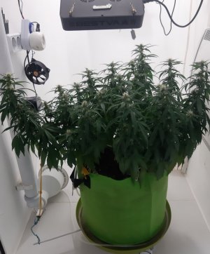 20230919_213151.jpg 20230919_213151.jpg