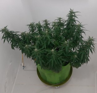 20230919_213041.jpg 20230919_213041.jpg