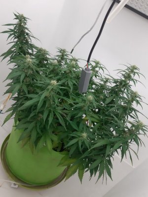 20230919_213349.jpg 20230919_213349.jpg