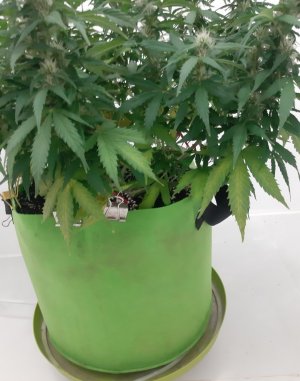 20230919_213335.jpg 20230919_213335.jpg