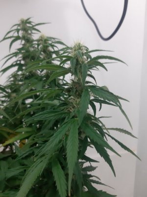 20230919_213445.jpg 20230919_213445.jpg