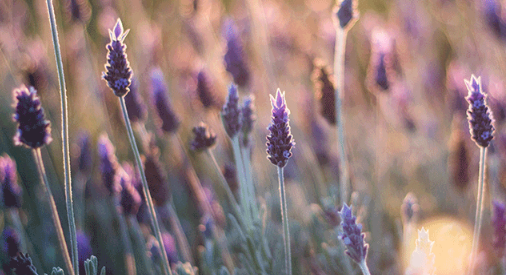 1695210483028.png 1695210483028.png