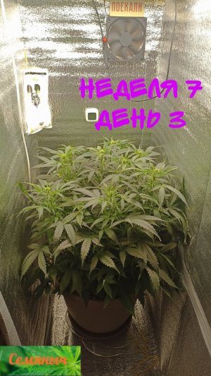 Picsart_23-09-20_07-39-05-072.jpg Picsart_23-09-20_07-39-05-072.jpg