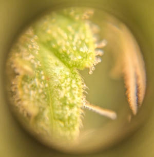 1695622619969.png 1695622619969.png