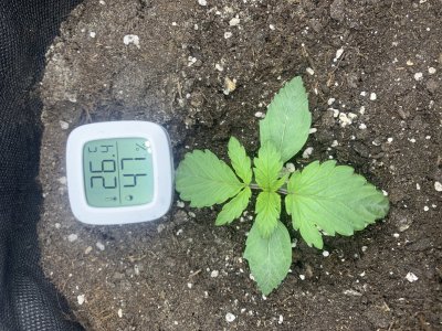 IMG_3259.jpeg IMG_3259.jpeg