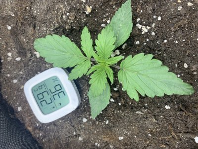 imgonline-com-ua-dexif6x4TAMueAcNL.jpg imgonline-com-ua-dexif6x4TAMueAcNL.jpg