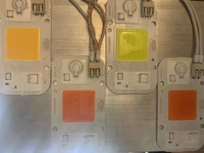 IMG_3254.jpeg IMG_3254.jpeg