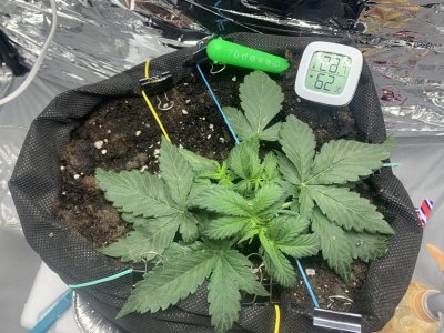 imgonline-com-ua-dexifCIt1kVUXybDW.jpg imgonline-com-ua-dexifCIt1kVUXybDW.jpg