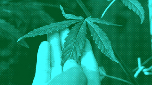 1696437696488.png 1696437696488.png