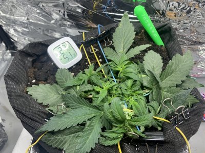 imgonline-com-ua-dexifPmWKncxYMvi5.jpg imgonline-com-ua-dexifPmWKncxYMvi5.jpg