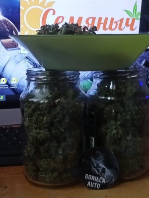 IMG20231006140132.jpg IMG20231006140132.jpg