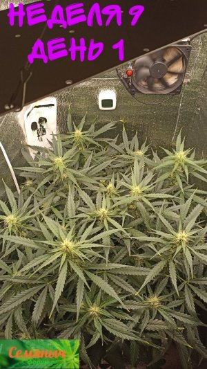 Picsart_23-10-02_07-37-39-788.jpg Picsart_23-10-02_07-37-39-788.jpg