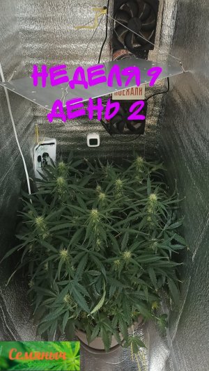 Picsart_23-10-03_14-50-02-651.jpg Picsart_23-10-03_14-50-02-651.jpg