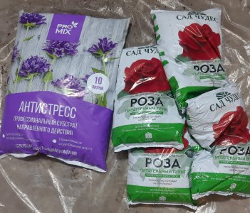 20231008_091043.jpg 20231008_091043.jpg