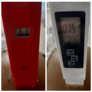 MyCollages.jpg MyCollages.jpg