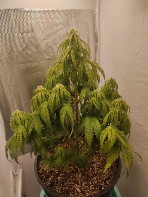 photo_2023-10-09_00-10-23 (3).jpg