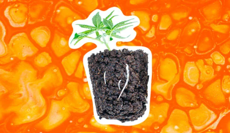 1697135634303.png 1697135634303.png