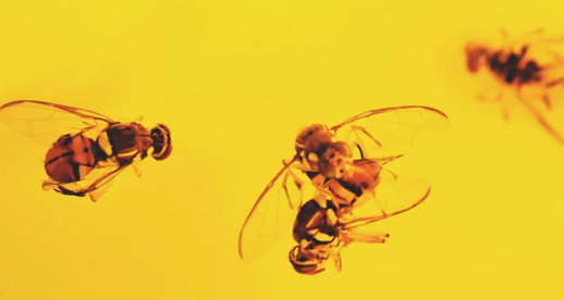 1697135745880.png 1697135745880.png