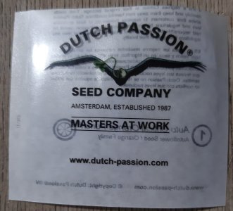 20230622_174422.jpg 20230622_174422.jpg