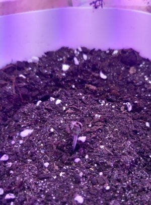 20231012_205439.jpg 20231012_205439.jpg