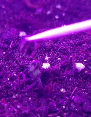 20230624_193313.jpg 20230624_193313.jpg