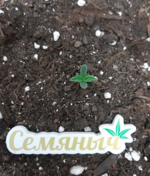 20231014_191358.jpg 20231014_191358.jpg