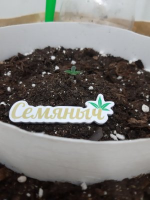 20231014_191344.jpg 20231014_191344.jpg