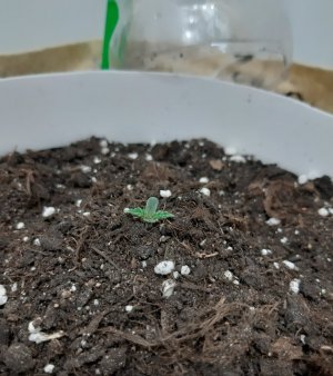 20231014_191326.jpg 20231014_191326.jpg