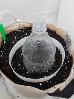 20231014_191238.jpg 20231014_191238.jpg