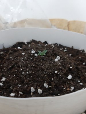 20231014_191209.jpg 20231014_191209.jpg