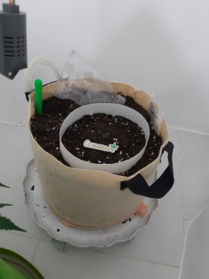 20231014_191049.jpg 20231014_191049.jpg