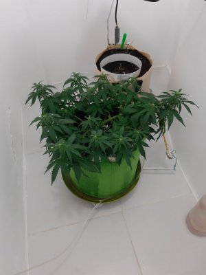 20231014_190831.jpg 20231014_190831.jpg