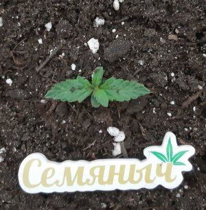 20230628_163454.jpg 20230628_163454.jpg