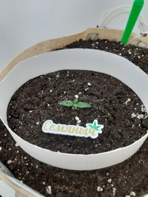 20231014_190809.jpg 20231014_190809.jpg