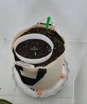 20231014_190749.jpg 20231014_190749.jpg