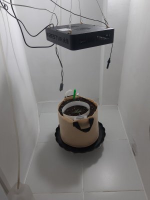 20231014_190704.jpg 20231014_190704.jpg