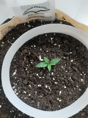 20231014_190718.jpg 20231014_190718.jpg