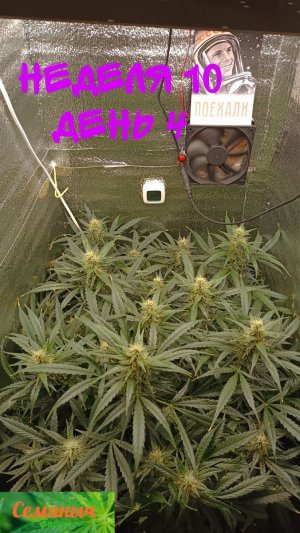 Picsart_23-10-12_18-06-28-305.jpg Picsart_23-10-12_18-06-28-305.jpg