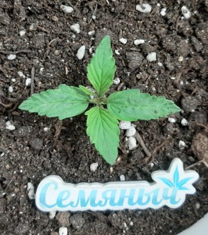 20231015_072831.jpg 20231015_072831.jpg