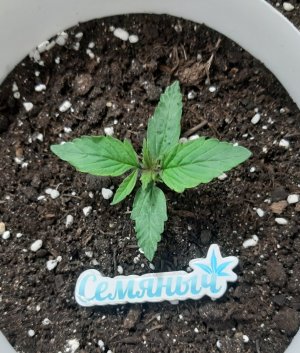 20231015_074201.jpg 20231015_074201.jpg