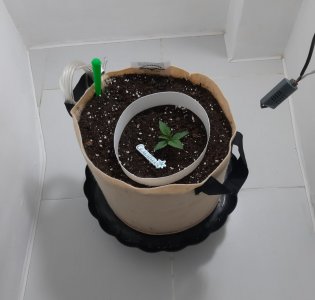 20231015_074233.jpg 20231015_074233.jpg