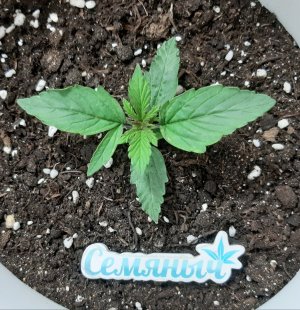 20231015_084501.jpg 20231015_084501.jpg